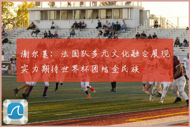 谢尔基：法国队多元文化融合展现实力期待世界杯团结全民族